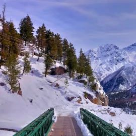 amritsar to himachal tour package