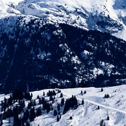 Kullu Tour Package by Himachal Bharat Tours at great discount